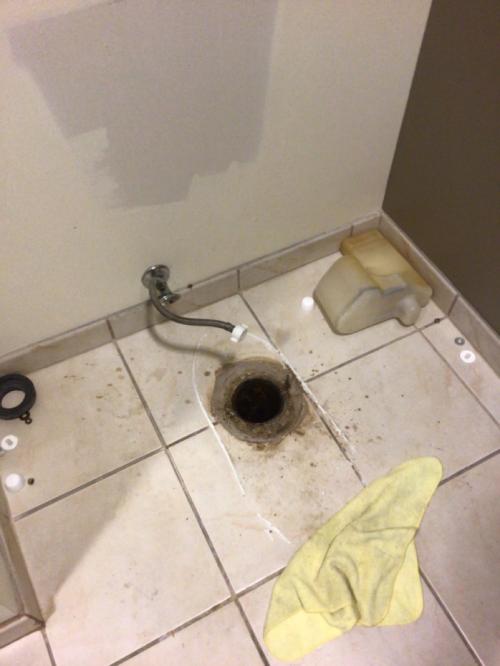 Toilet Clogged